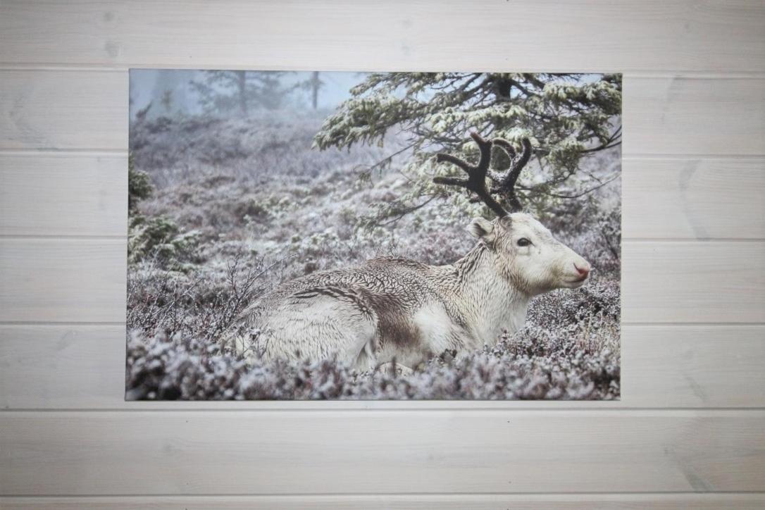 Lapland Happiness Hillakka 2 A8 Apartment แอแกชลอมโปโล ภายนอก รูปภาพ